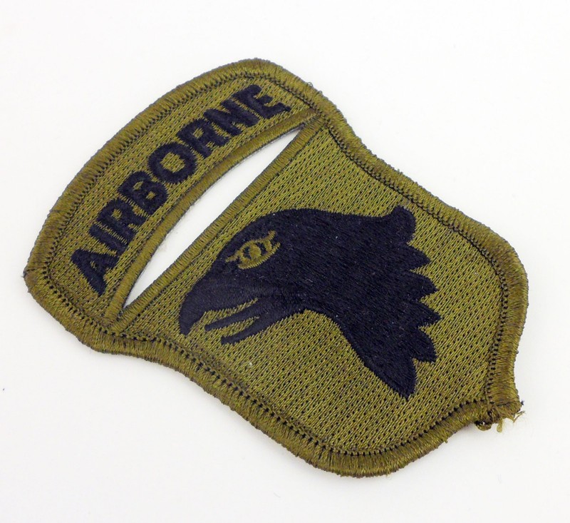 WWII US Army 101st Airborne Division Patch Screaming Eagles Iron on patch-1378 gallery