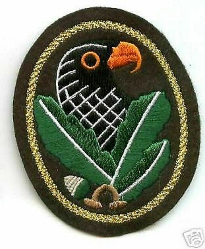 REPO - Luftwaffe Wing Jagdgeschwader JG 52 Richthofen Me 109E 1939–1945 Insignia gallery