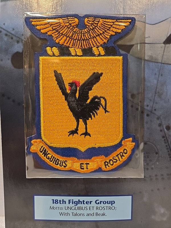 WWII Emblems Of Air War Patch 18th Fighter Group "Unguibus Et Rostro" gallery