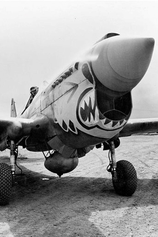 Flying Tigers Curtiss P-40 Warhawk fighter plane WW2 Photo Glossy 4*6 in L013