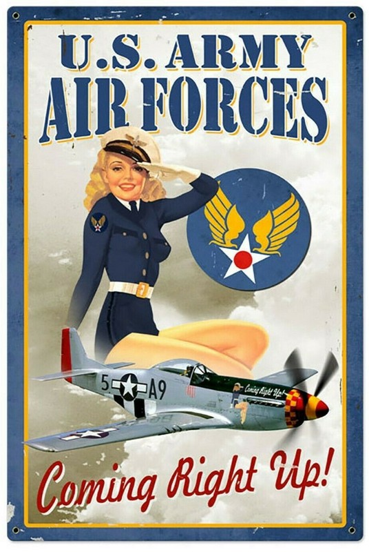 WWII US ARMY AIR FORCE AAF WWII iron-on REPO INSIGNIA PATCH gallery