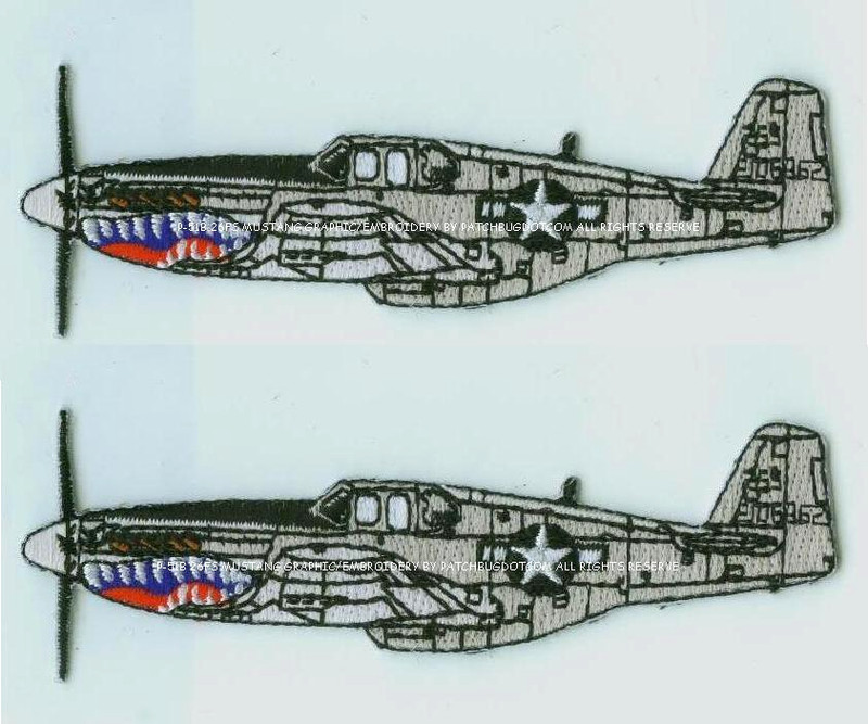 USAAF LEGENDARY HISTORICAL WWII AVG INSIGNIA PATCH: Flying Tigers 2nd Panda Sqn gallery
