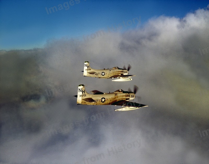 8x10 Print Navy Douglas A1 Skyraider Attack Aircraft in Formation 1948 #5502214