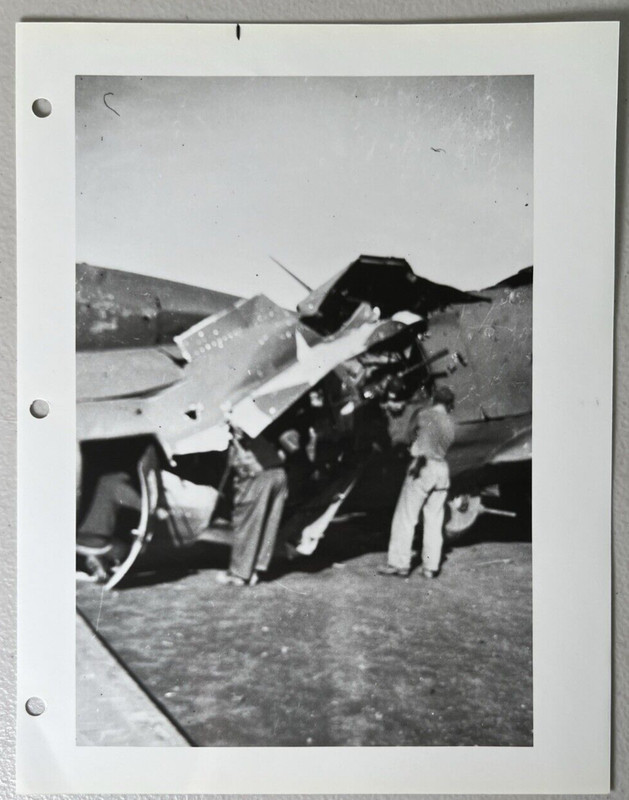 WWII B&W 8x10 Glossy Reprint B-17 Fighter Plane 078 Sweet Pea 2nd Bomb Group S/5 gallery