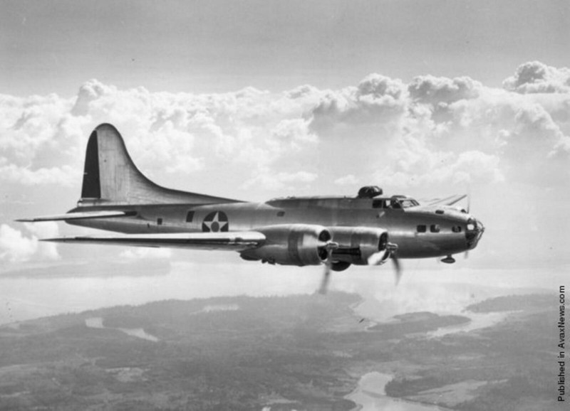 Boeing B-17E Flying Fortress "Desert Rat" Nose Art Panel, WWII Aviation NAP-0140 gallery