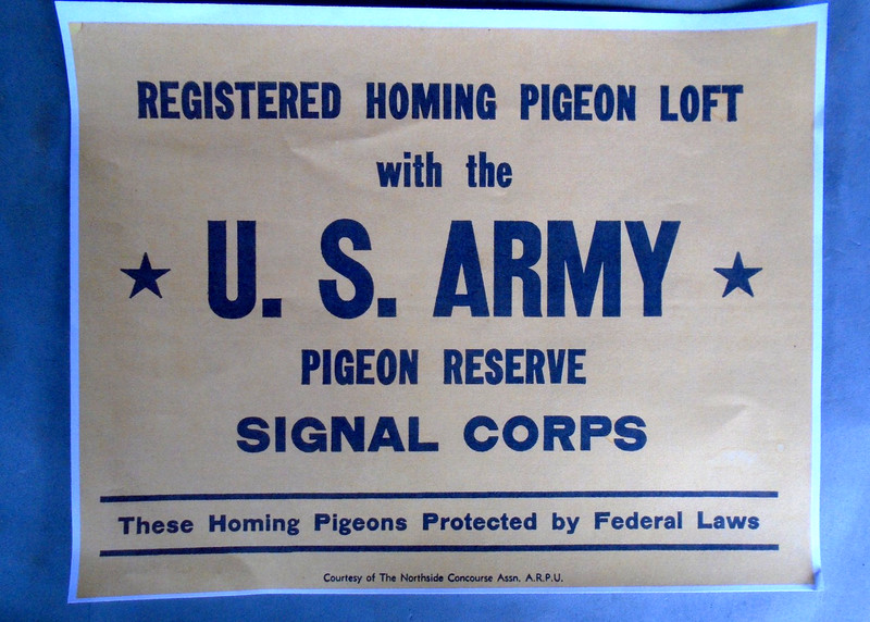US Army Signal Corps pigeon loft sign, letter size color COPY