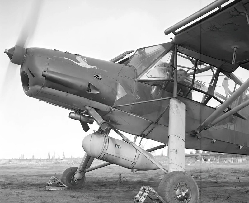 WW2 WWII Photo World War Two / German Luftwaffe Fiesler Storch Airplane Fi 156