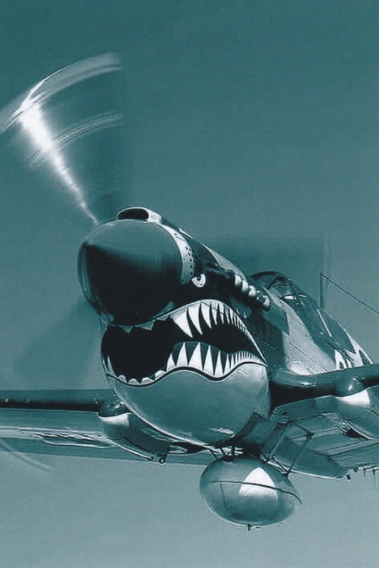 WW II Usa Photo — P-40 Warhawk – Flying Tigers