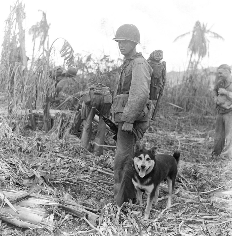 WW2 WWII Photo World War Two / US Marine & War Dog Guam 1944 USMC