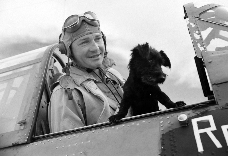 WW2 Photo WWII US Navy Pilot and Dog Midway Atoll 1942 World War Two USN / 5310