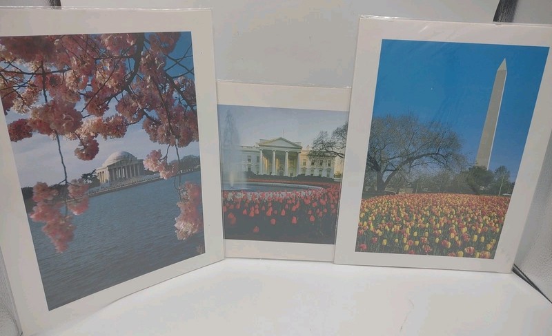 3 Washington DC White House Jefferson 9" x 12" photos prints W/ white border Lot