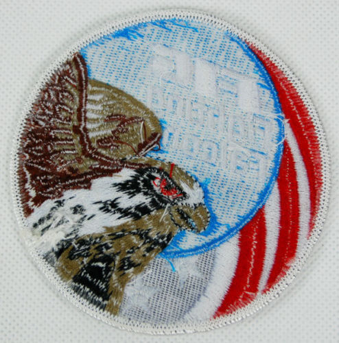 US UNITED STATES USAF F-16 FIGHTING FALCON SWIRL EMBROIDERED PATCH gallery