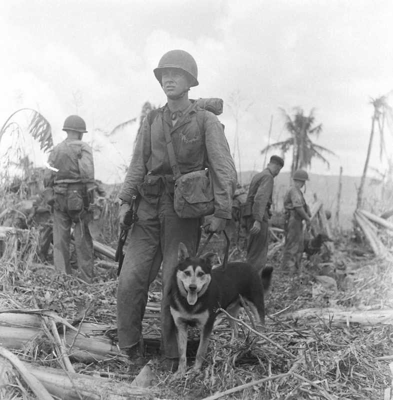 WW2 WWII Photo World War Two / US Marine & War Dog Guam 1944 USMC
