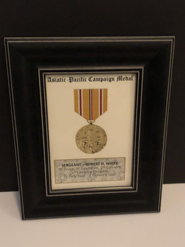 ASIATIC-PACIFIC CAMPAIGN MEDAL ~ 5x7 Medal Print with Rank, Name, Unit, etc. gallery