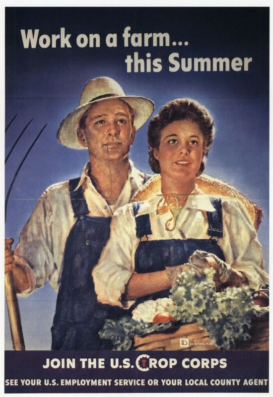 Work a farm this Summer: Join US Crop Corps WWII Mini Poster 1991 Illustration