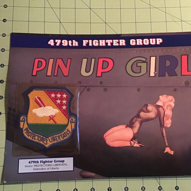 Willabee & Ward Emblems Of Air War WWII Patch 479th Fighter Group + Info Card gallery