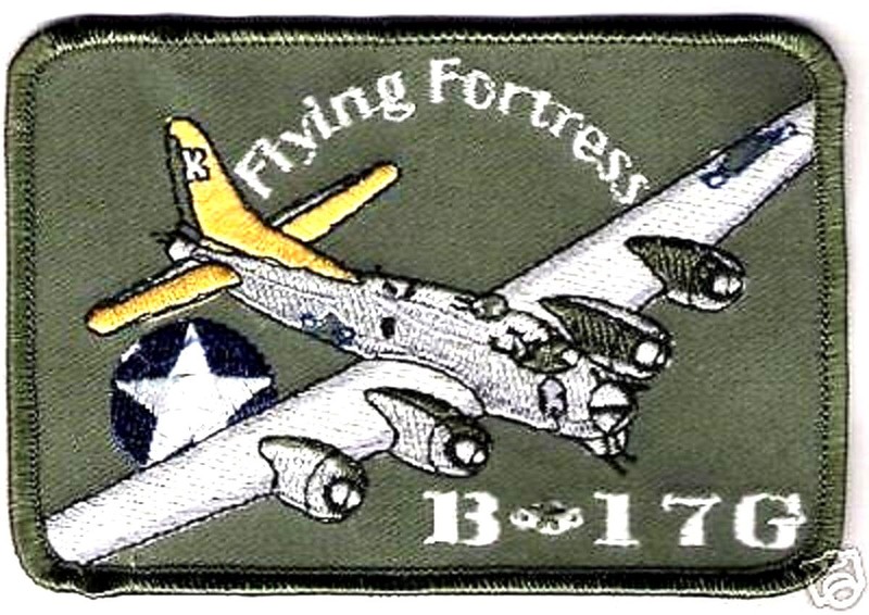 WWII US ARMY AIRFORCE 8TH AAF B-17G FLYING FORTRESS 8th AAF B-17 iron-on PATCH