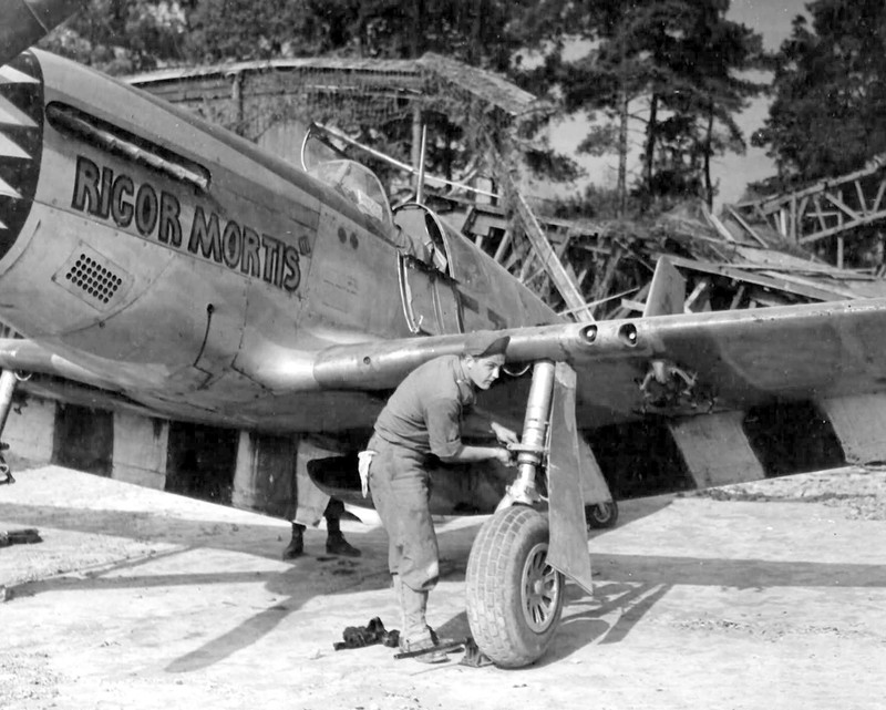 North American P-51 Mustang World War II WWII WW2 8×10 Photo 430c