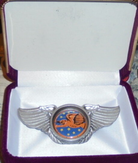 Tuskegee Airmen Unit Bomber Group Squadron Fighter Wing Badge AAF CAS P 39 47
