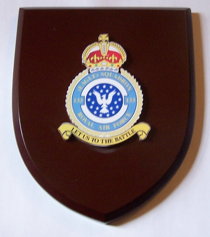 UK Britain Squadron Royal US Air Force Volunteer RAF 133 BEF Eagle Plaque Crest