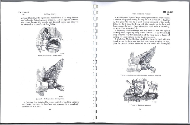 REPRINT HOMING PIGEON MANUAL 1940 76p TM 11-410 HIGH-QUALITY HALFTONE WWII gallery