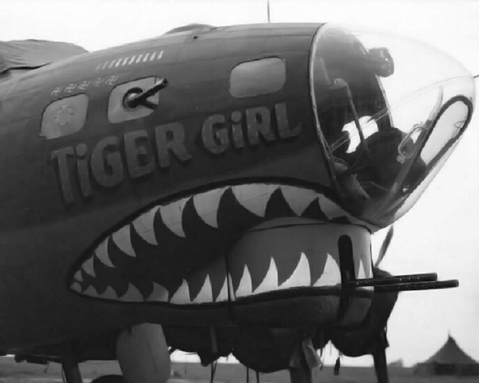 B-17 Flying Fortress Nose Art “Tiger Girl” Shark mouth 8×10 WWII WW2 Photo 700a