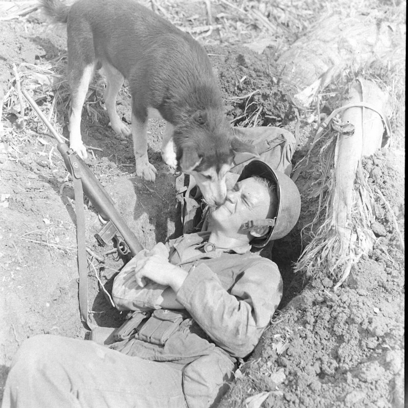 WW2 WWII Photo World War Two / US Marine & War Dog Guam 1944 USMC