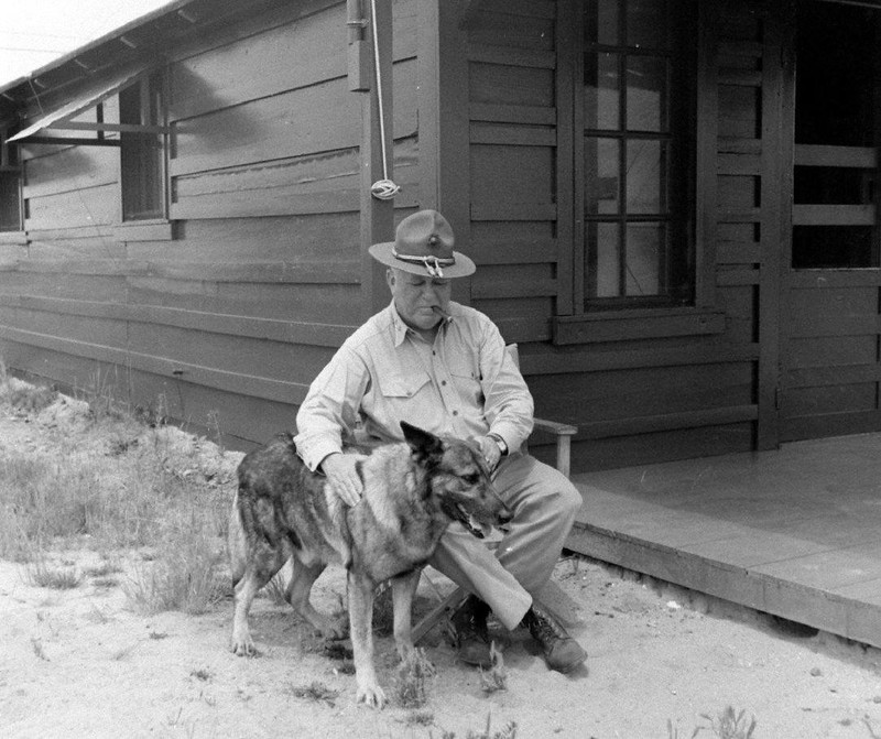 WW2 Photo WWII US Marine with Shepherd Dog USMC 1941 World War Two / 1624