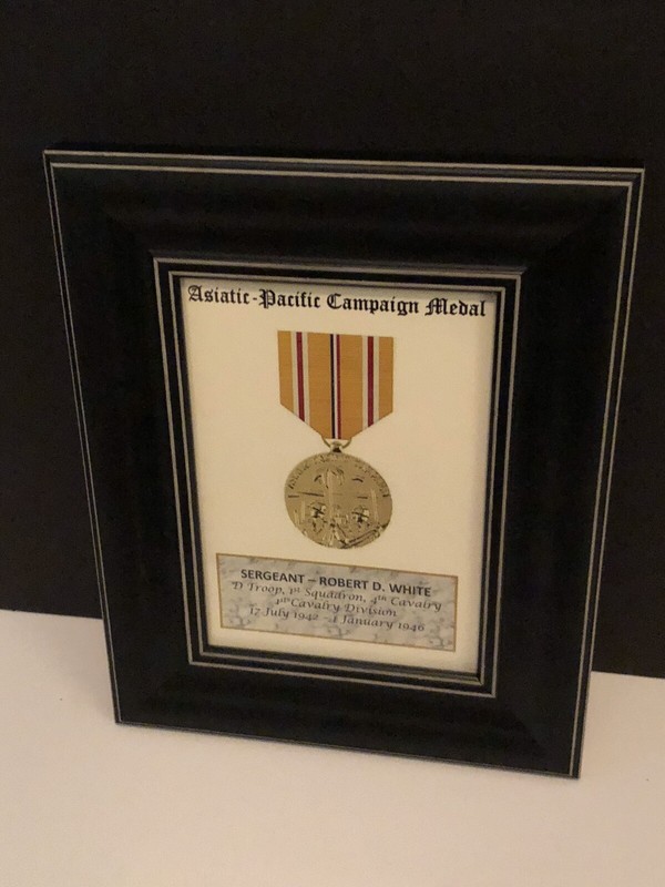 ASIATIC-PACIFIC CAMPAIGN MEDAL ~ 5x7 Medal Print with Rank, Name, Unit, etc. gallery