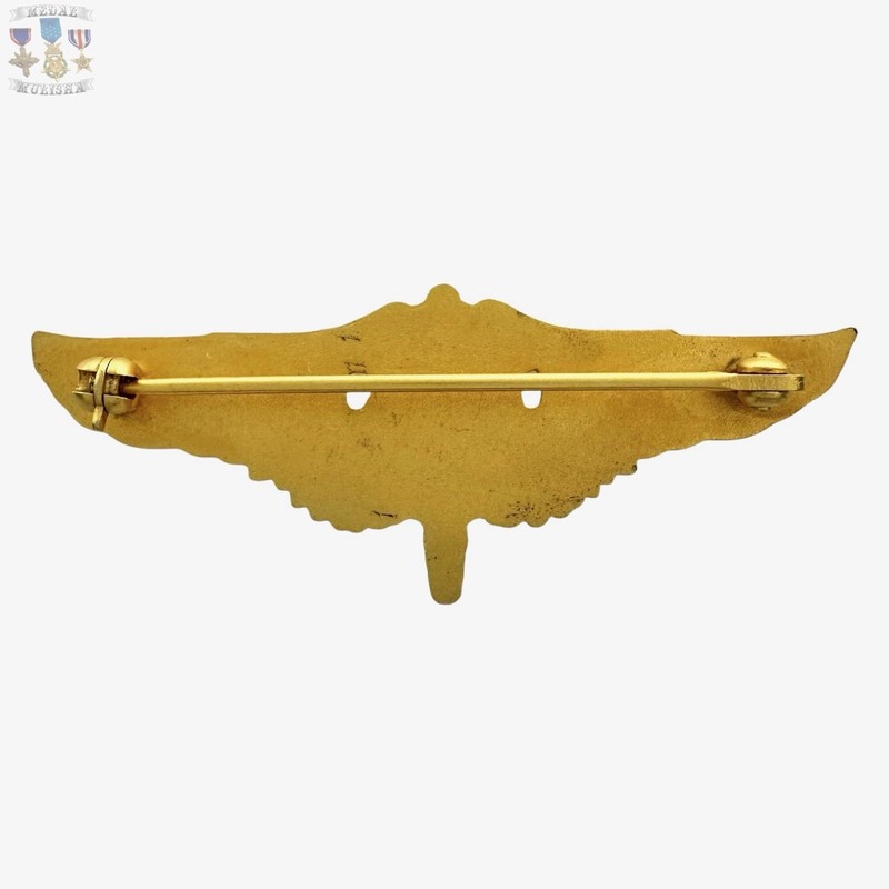 FLIGHT SURGEON WINGS BADGE 2” SIZE INSIGNIA REPRODUCTION STRIKE gallery