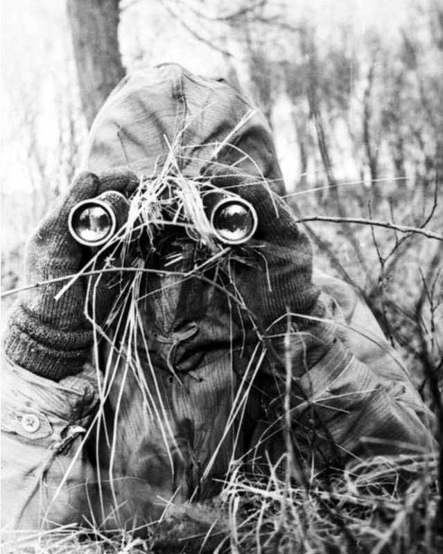 German Sniper in Camouflage 8×10 WWII Soldier Photo 215a