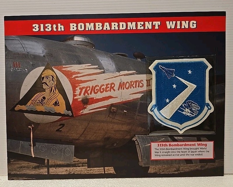 Emblems Of Air War Patch 313th Bombardment Wing “Trigger Mortis” Willabee & Ward