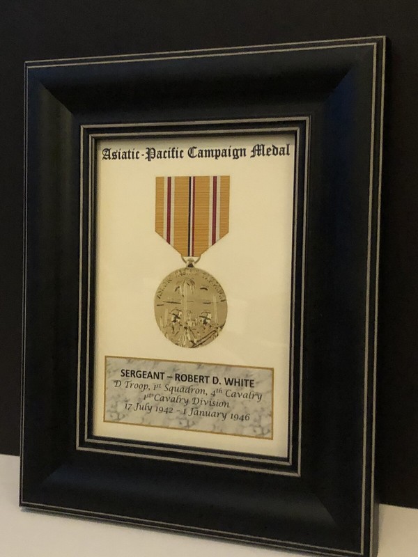 ASIATIC-PACIFIC CAMPAIGN MEDAL ~ 5x7 Medal Print with Rank, Name, Unit, etc. gallery