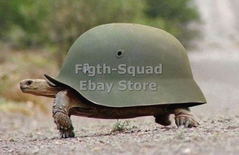 WW2 Picture Photo turtle in german helmet 6215