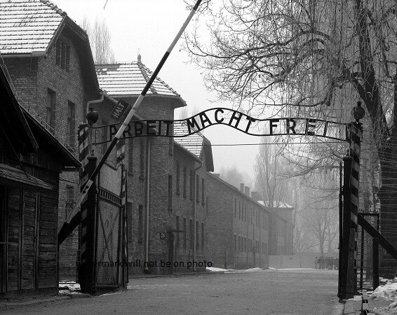 Auschwitz German Concentration Camp 8″x 10″ World War II WW2 Photo 8