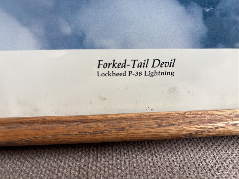 1985 Forked-Tail Devil/Lockheed P38 Lightning Fighter Plane W/Pilot Info on Back gallery